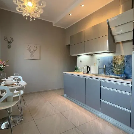 Daire Sauna Infrared