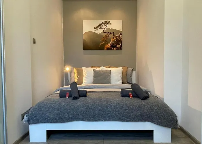 Daire Sauna Infrared